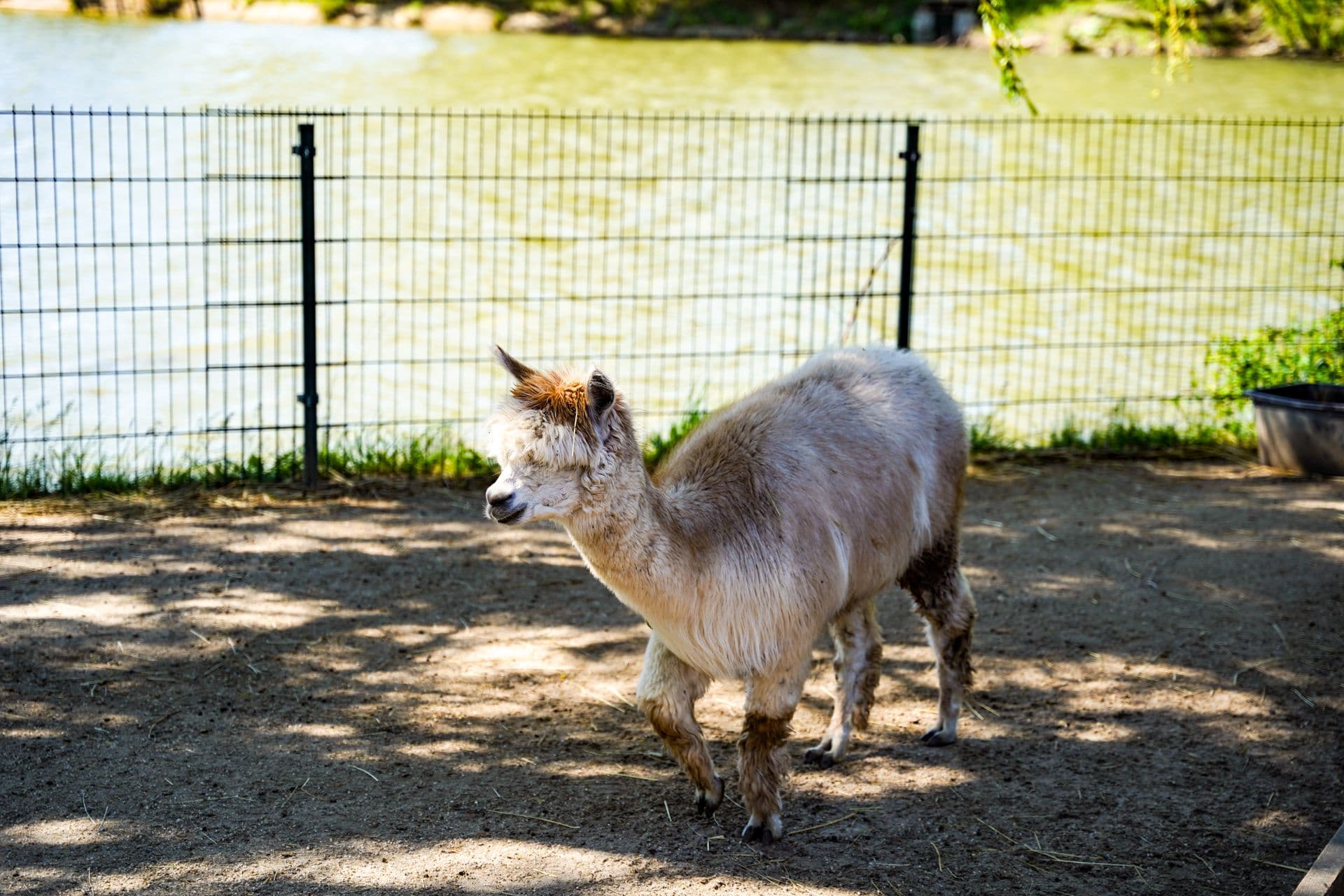 Fielderberry Farm