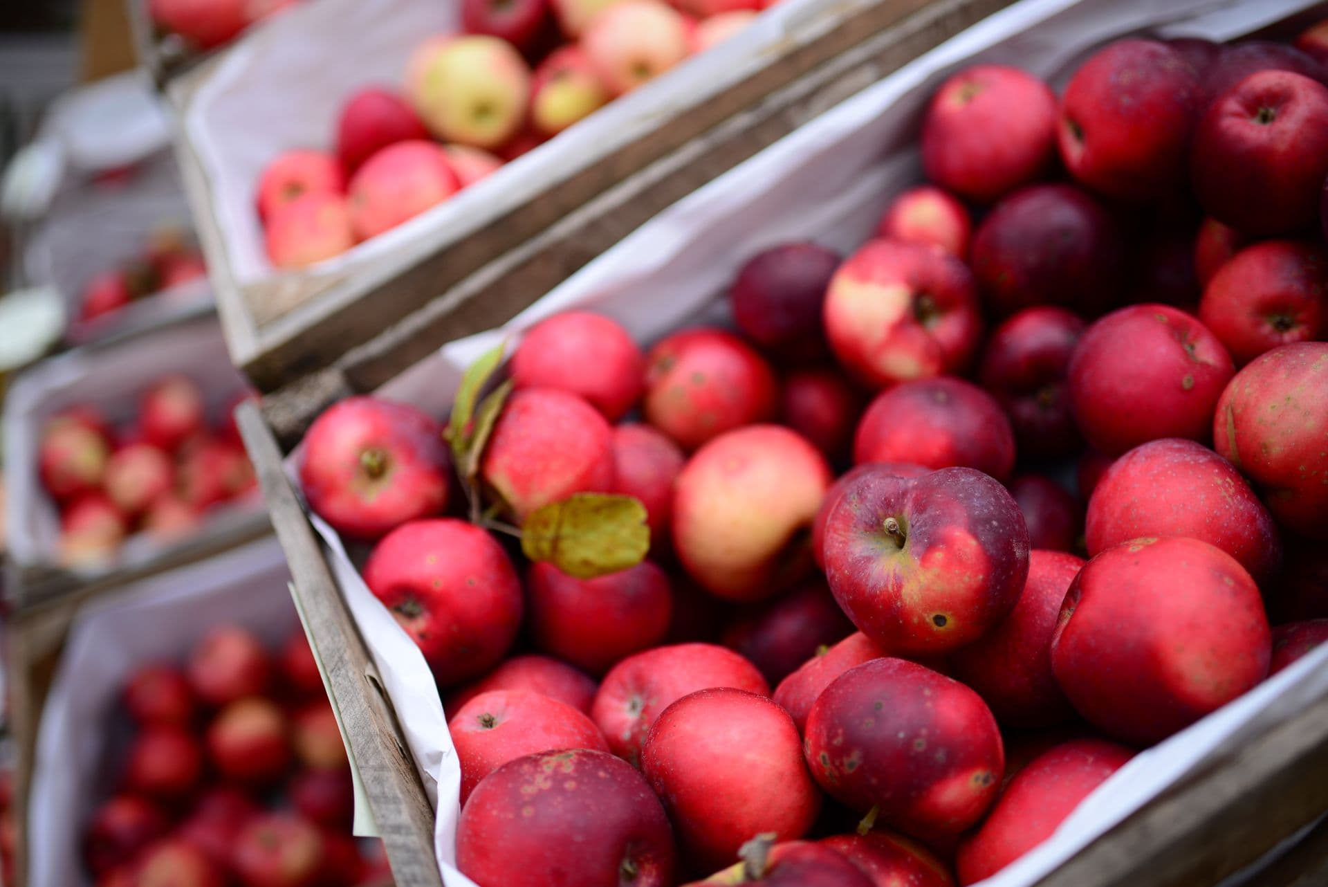 Nicoletti Orchards