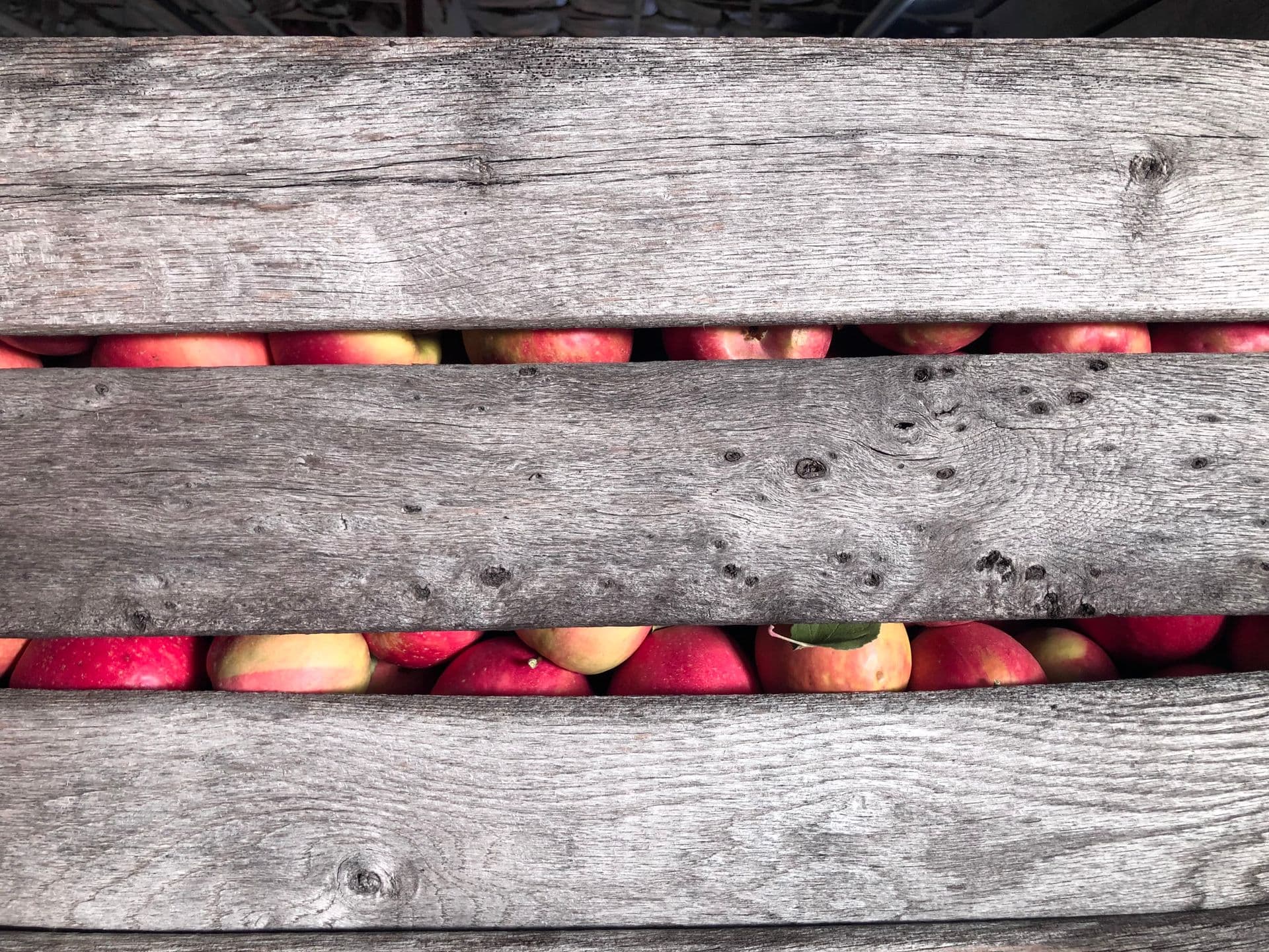 Lomas Orchards