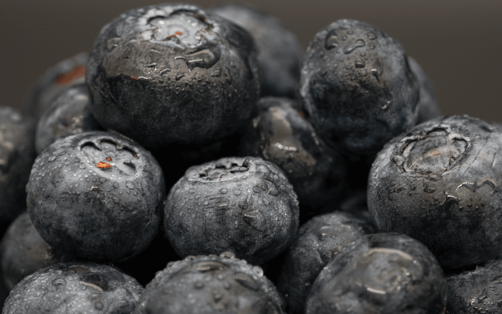 Higham Blueberries