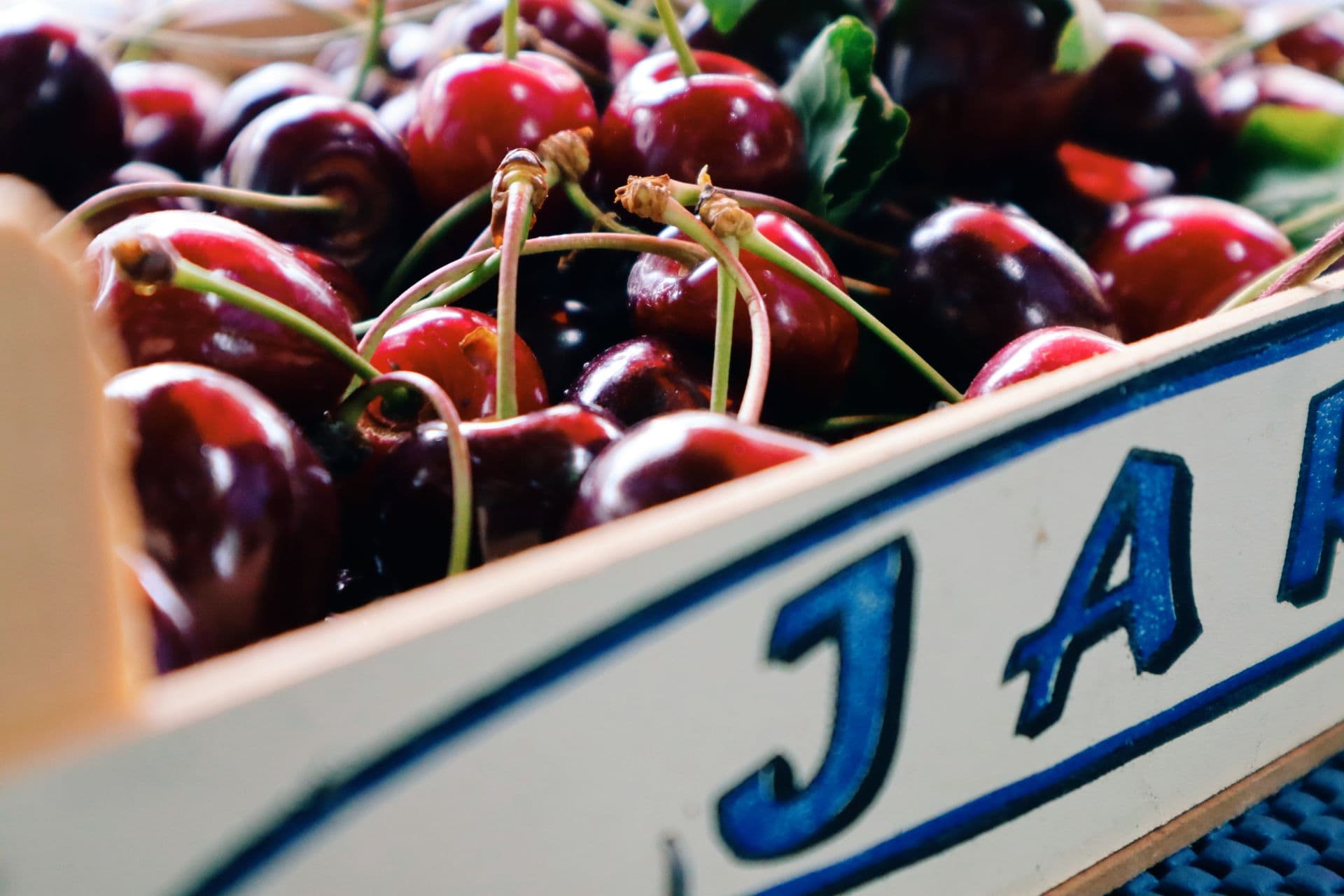 Cherrytime Orchard