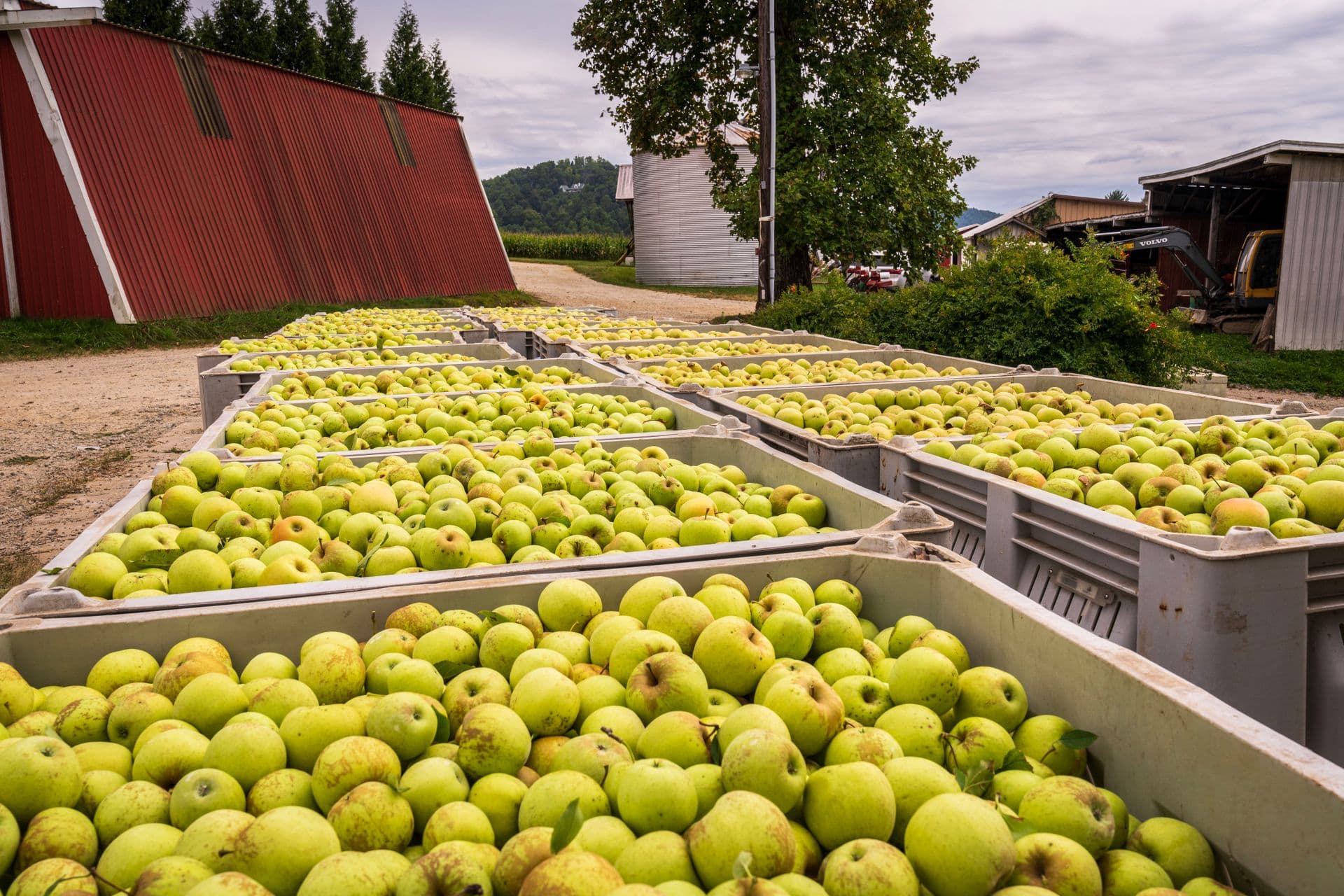 Core Cider House