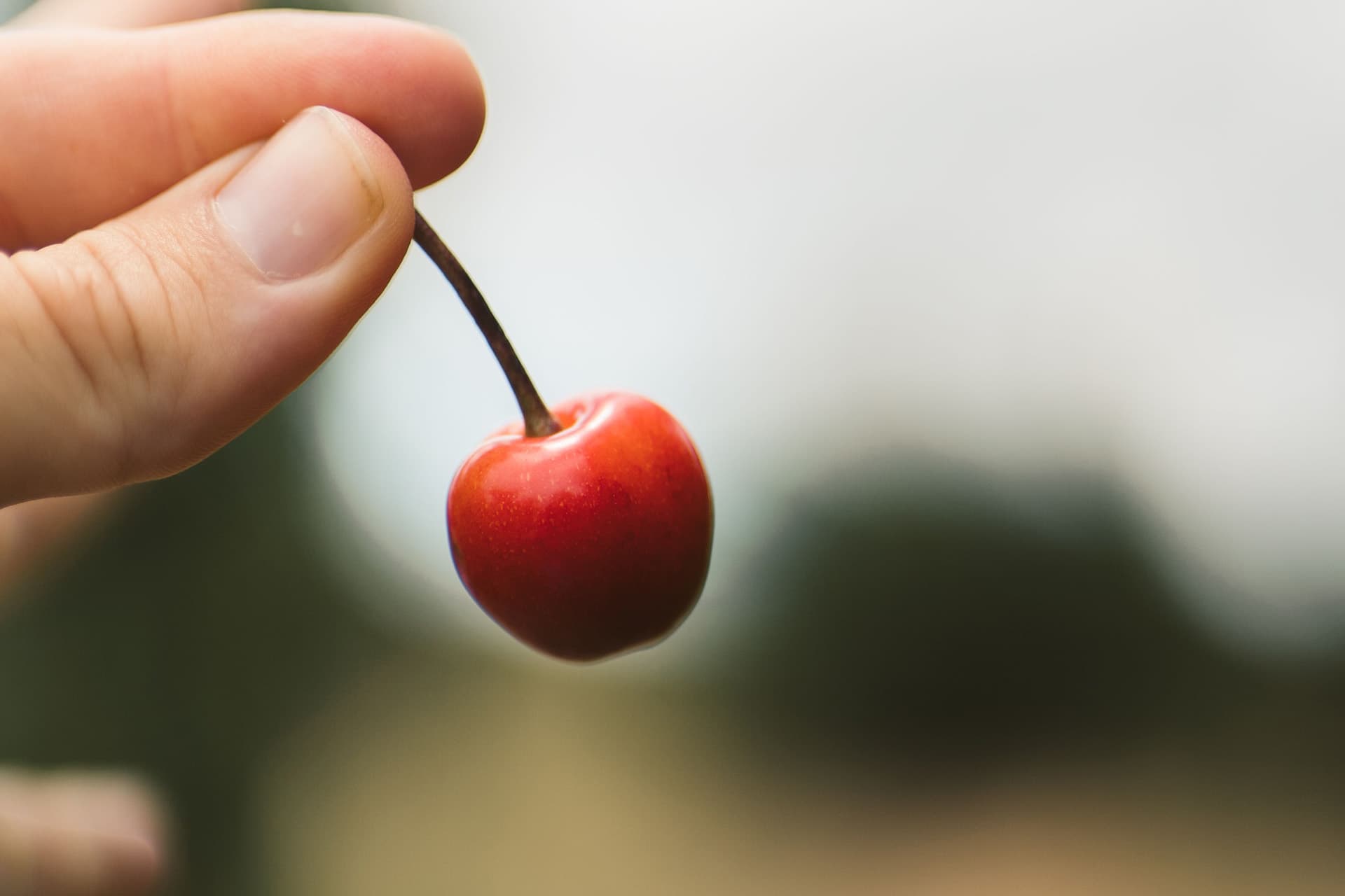Big Fella Cherries