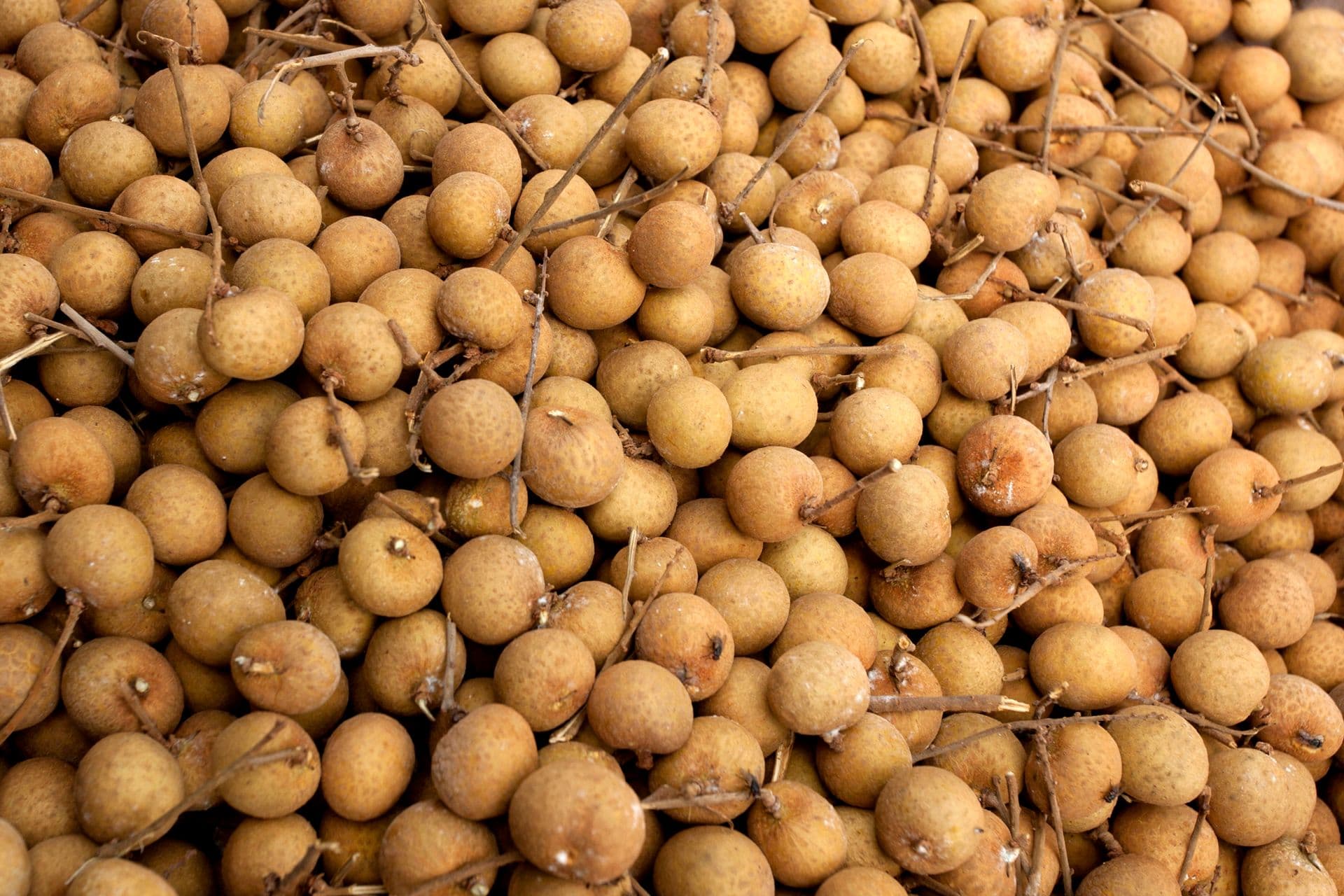 The Longan Farm