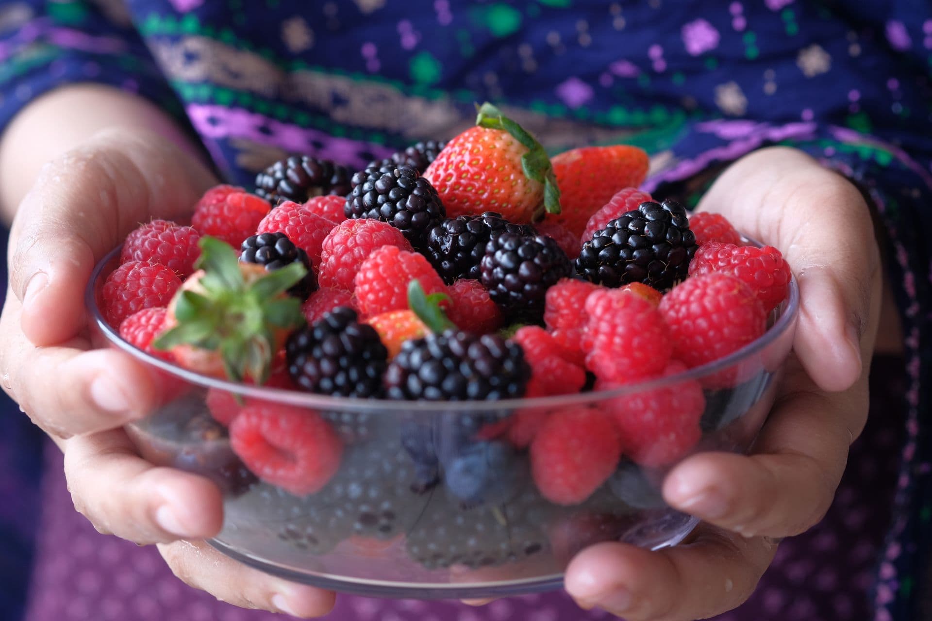 Sorell Fruit Farm