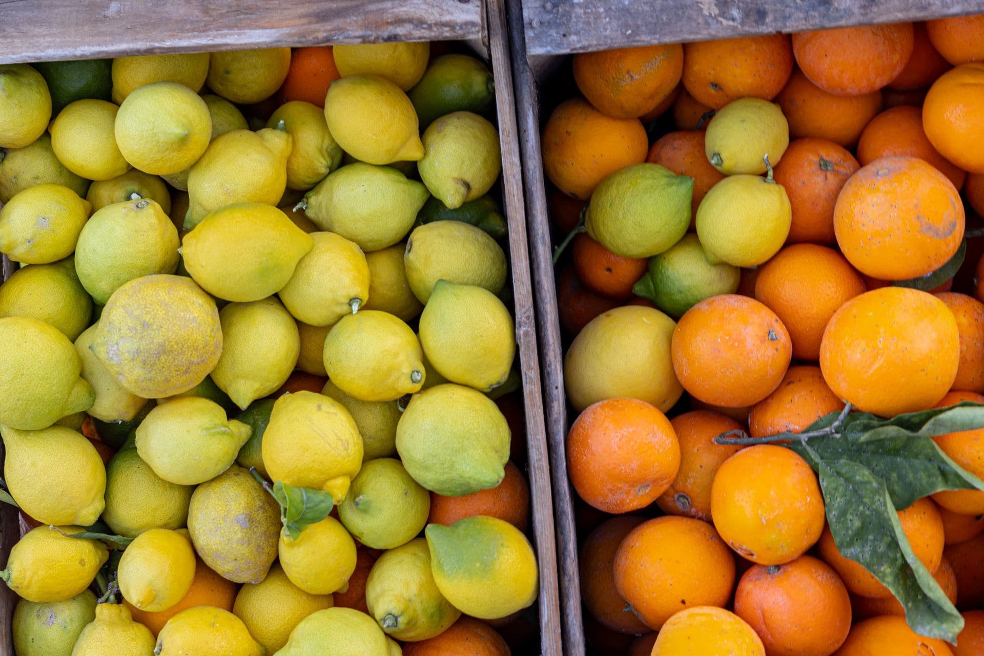 Pick Your Own Oranges Dooralong