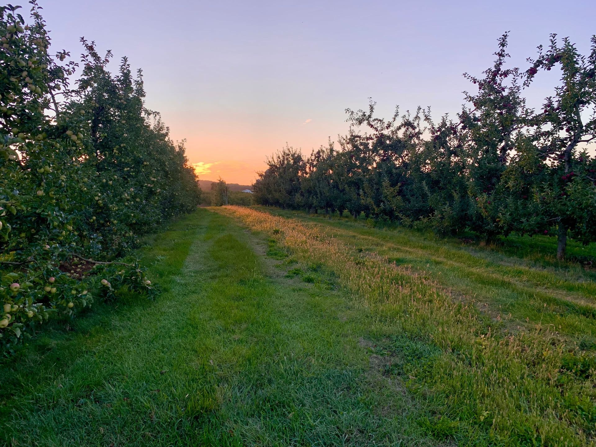 Plummers Pick Your Own