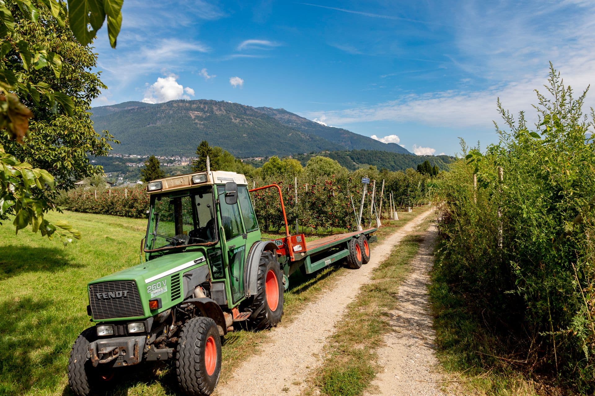 Glenbernie Orchard