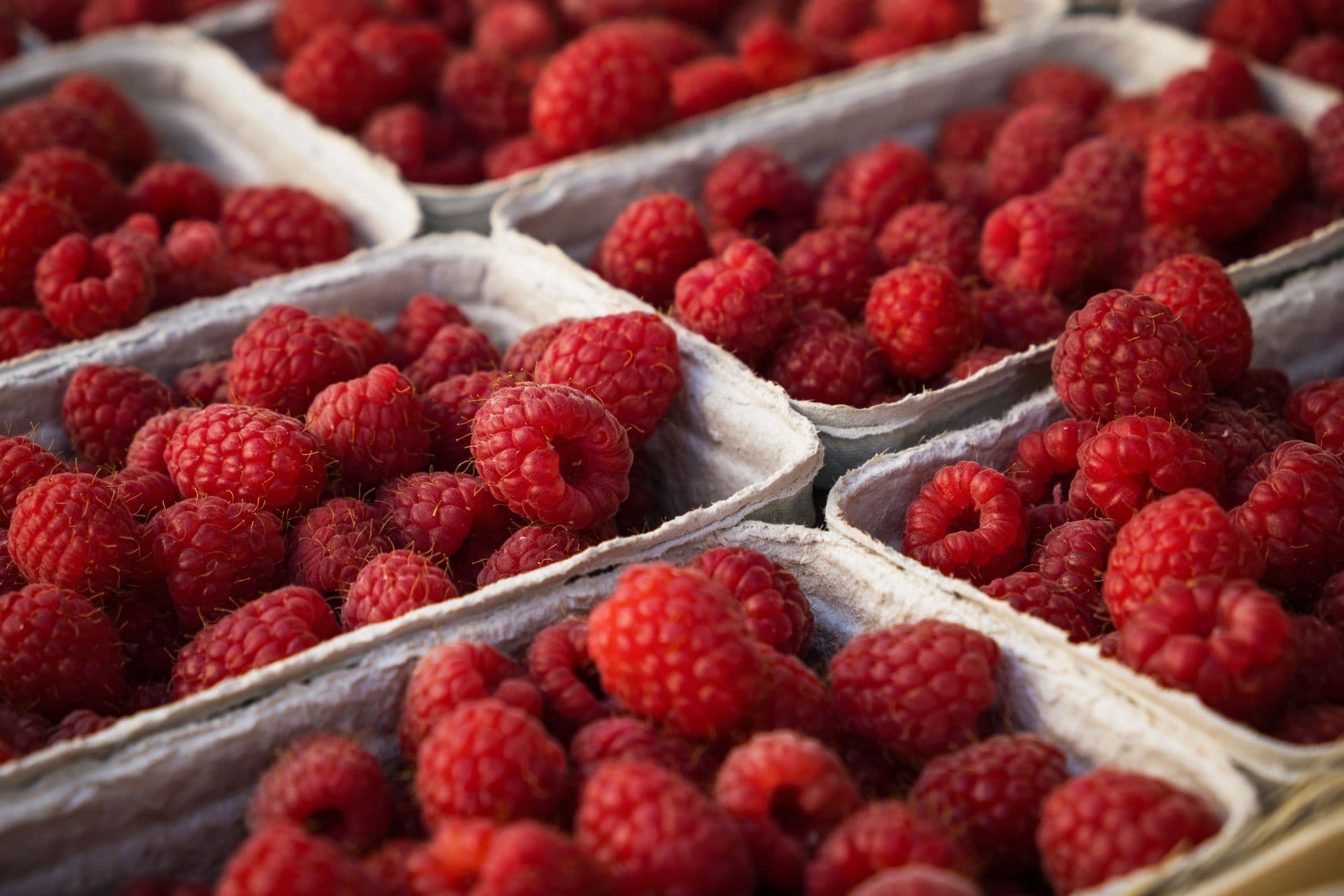 Ravens Creek Farm