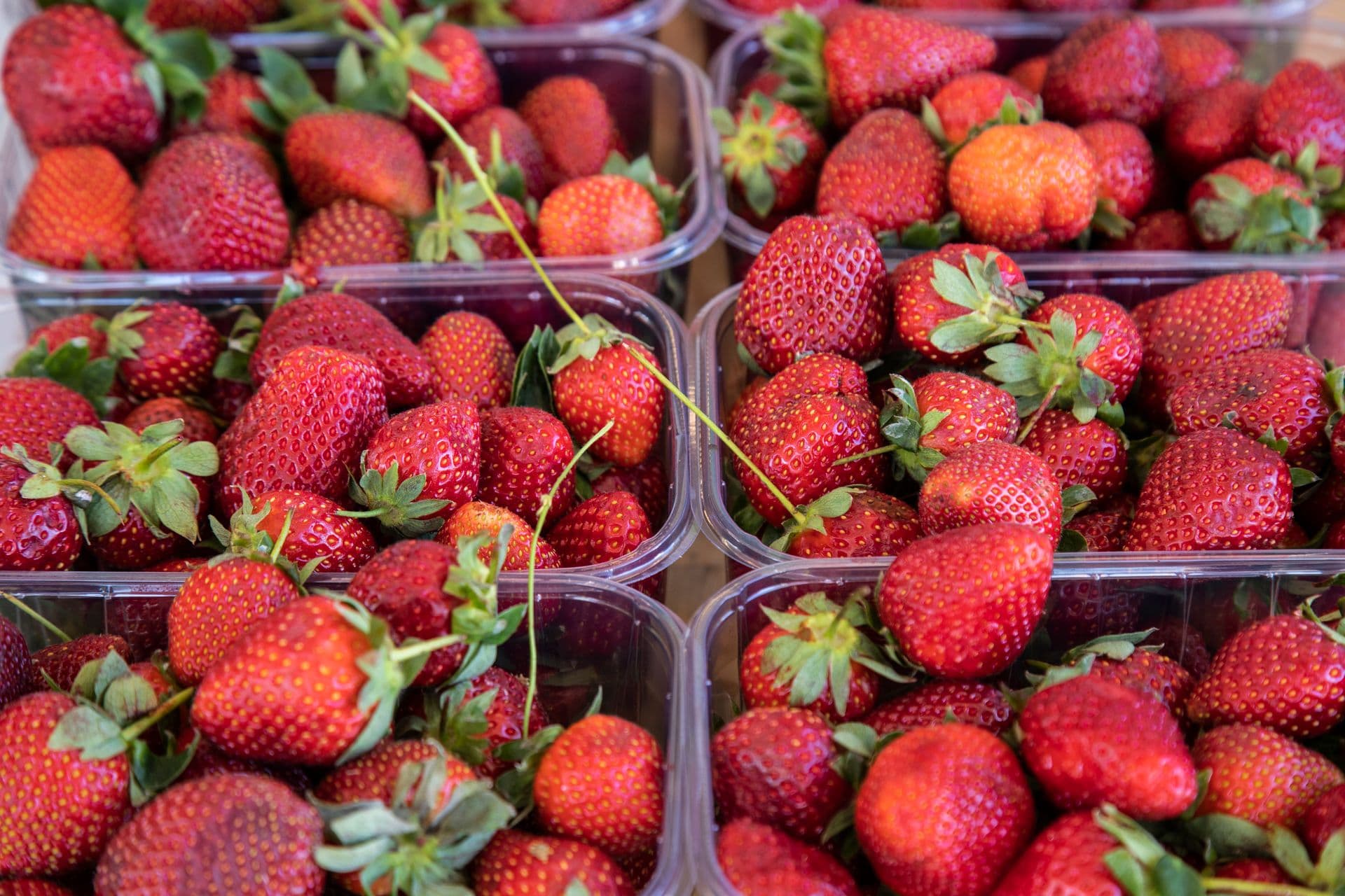 Sweet Acres Farm