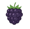 Blackberries