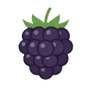 Blackberries