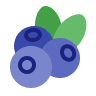 Blueberries