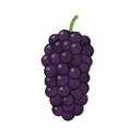 Mulberries