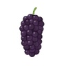 Mulberries