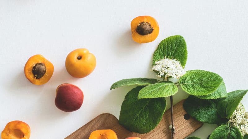Apricots