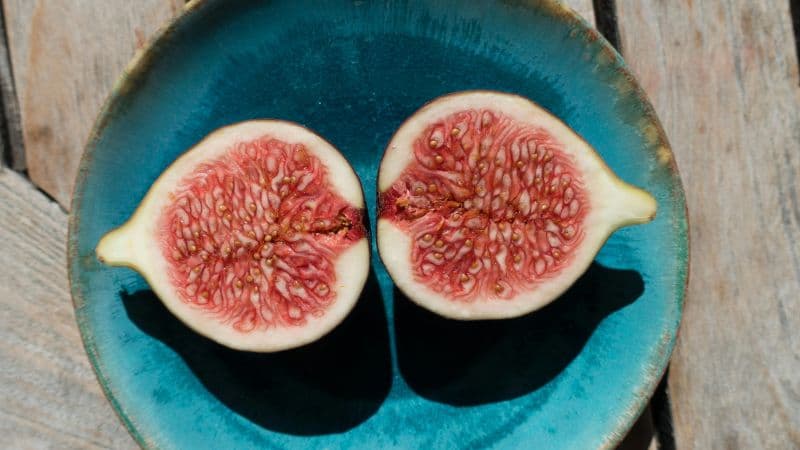 Figs