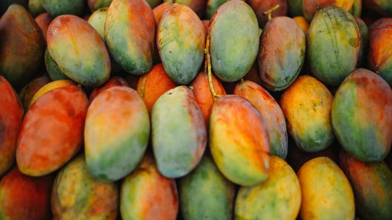 Mangoes
