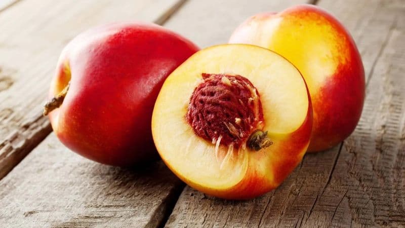 Nectarines
